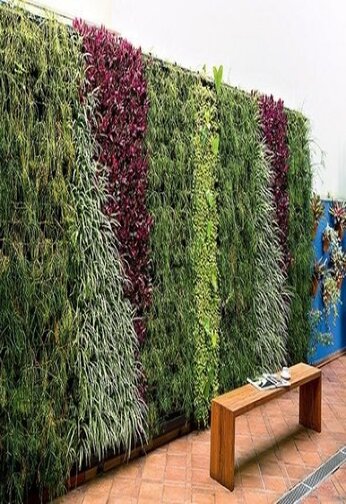 vertical garden